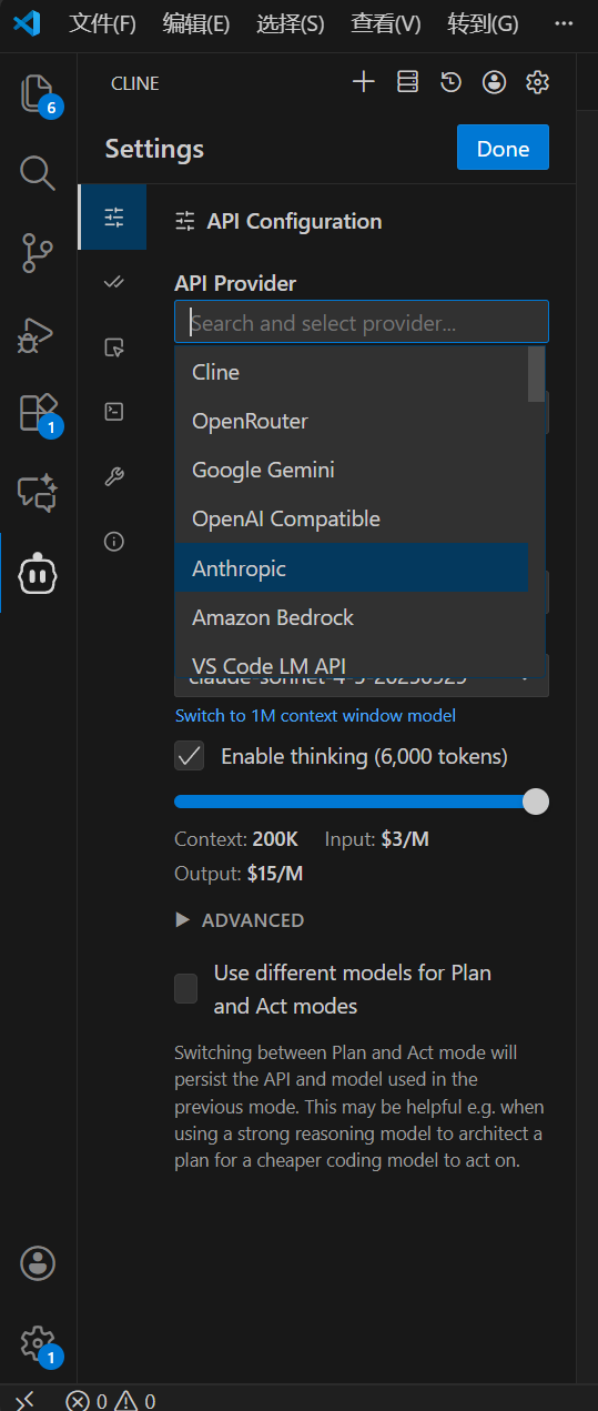 Cline API Provider 设置截图