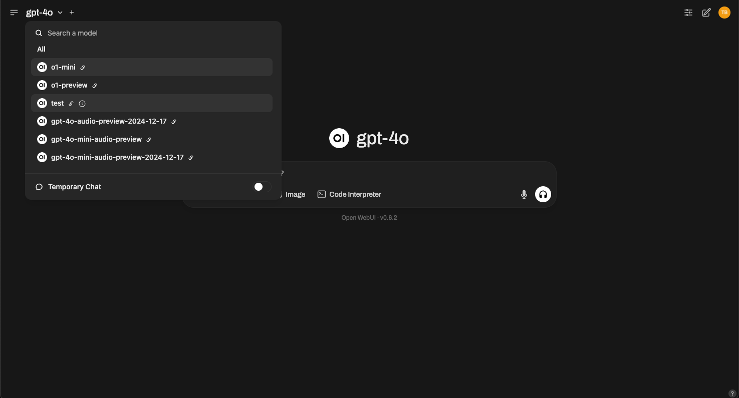 Open WebUI 模型选择界面截图