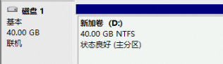 Windows Server 磁盘管理结果