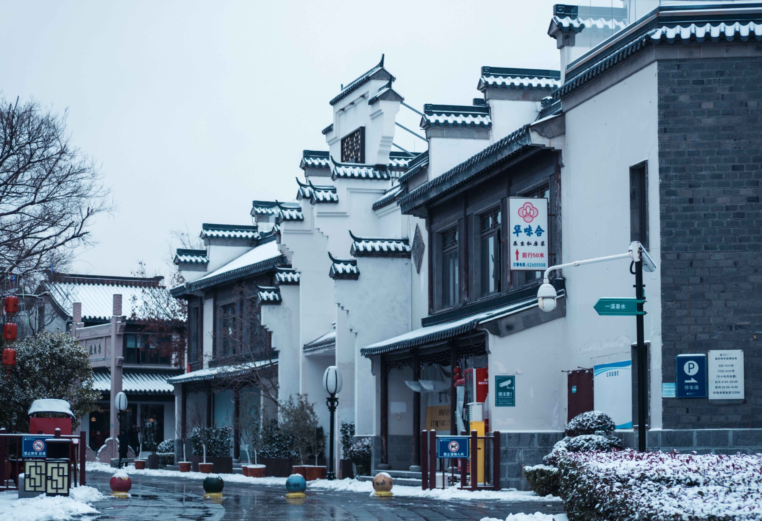 IP 能访问但域名打不开怎么办?从 DNS 到虚拟主机逐步排查-速维云
